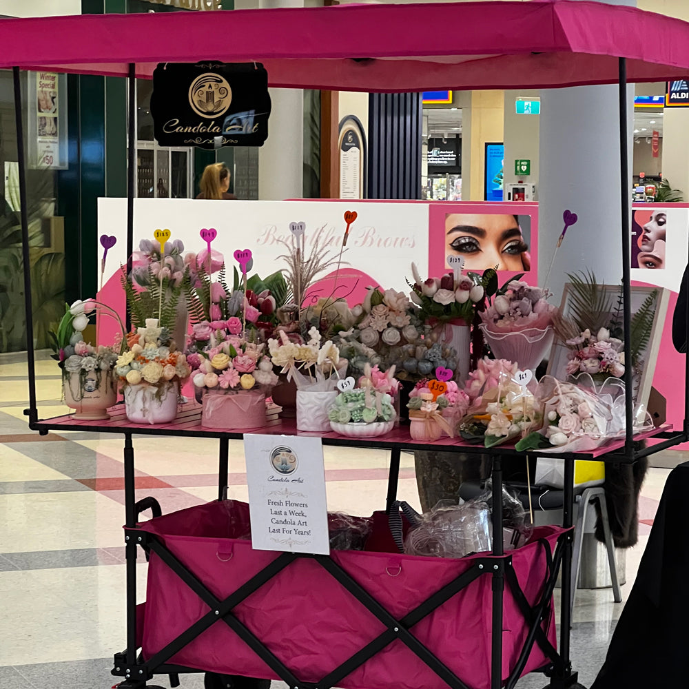 Candola Art Is at Winston Hills Mall This Weekend