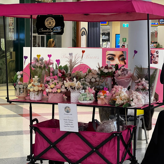 Candola Art Is at Winston Hills Mall This Weekend